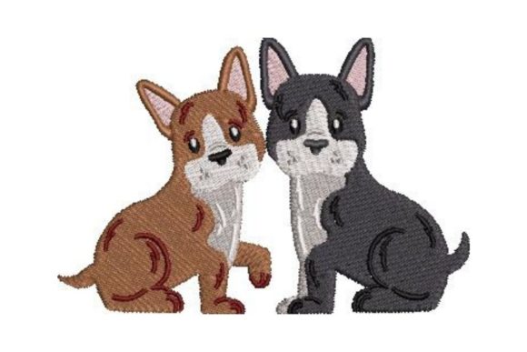 Boston Terrier Puppies: A Designer’s Review