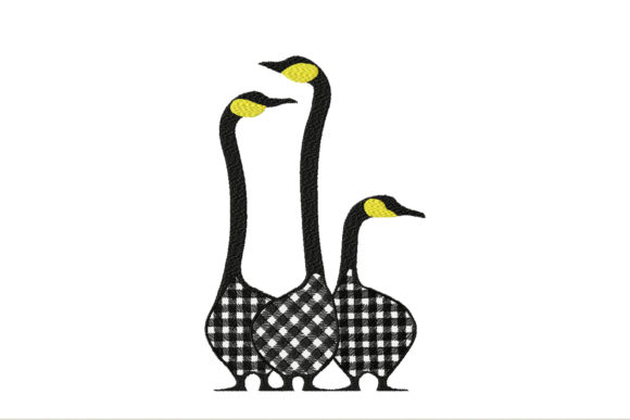 Farm Black and White Geese: A Designer's Review