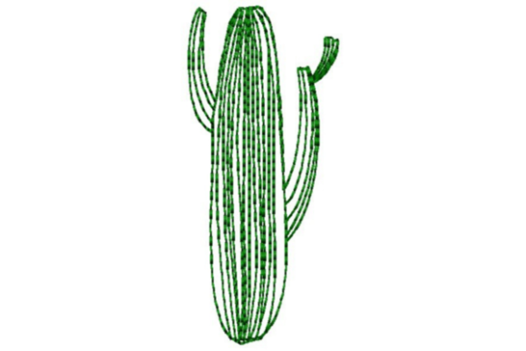 Lined Cactus Outline: A Seasonal Embroidery Review