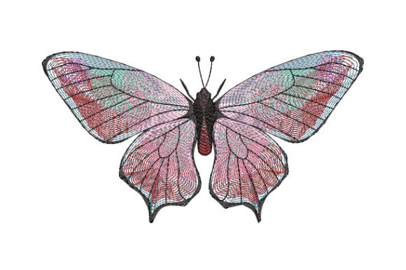 Pink Butterfly with Beautiful Antennae Review