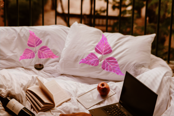 Red Aglaonema: A Pro Review for Branded Merch
